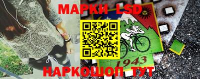 spice Малоярославец