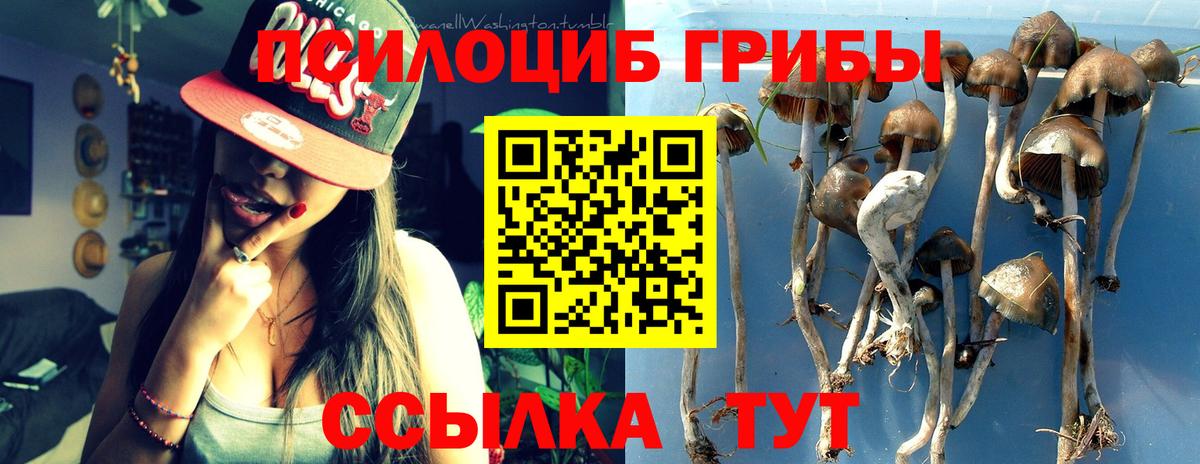 Псилоцибиновые грибы прущие грибы  Псилоцибиновые грибы Cubensis  Вход с VPN  Железноводск 