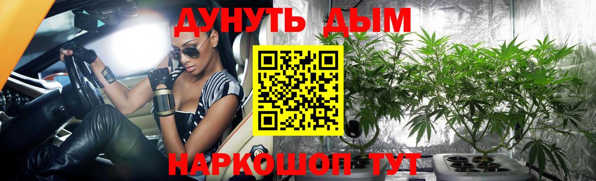 Бошки марихуана планчик  Бошки марихуана ГИДРОПОН  Вход с VPN  Железноводск 
